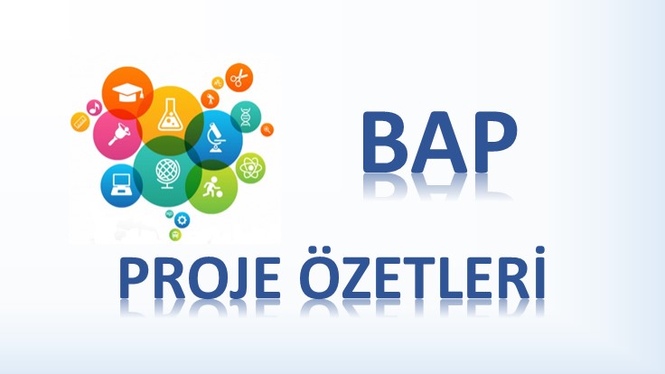 BAP PROJE ÖZETLERİ