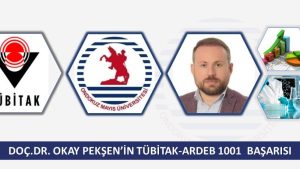 İnsan Ve Toplum Bilimleri Fakültesi, Tarih Bölümünden TÜBİTAK-1001 Proje Başarısı